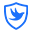 ico