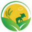 ico