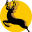 ico