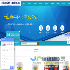 网站截图