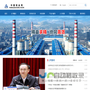 中国铝业股份有限公司