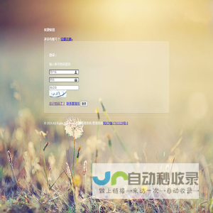 网站截图