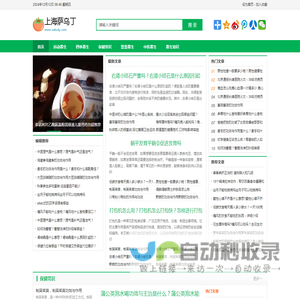 上海萨乌丁电子科技有限公司