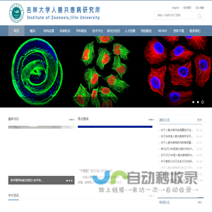 Coremail邮件系统