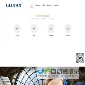 网站截图
