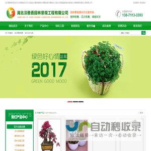 绿植租赁_盆景花卉租摆_办公室植物出租_植物墙-成都伊甸园花卉