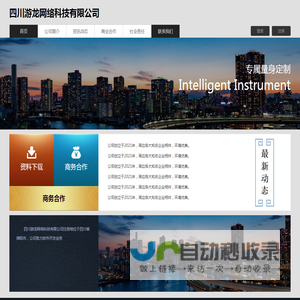 四川游龙网络科技有限公司