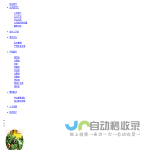 盈顶汇食品集团股份有限公司