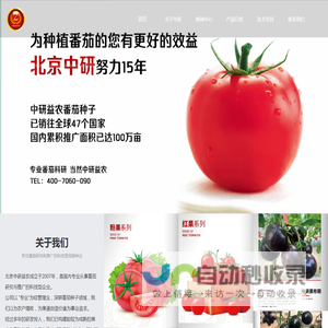 鼎泰丰金业 | 金银礼品智造 高端珠宝定制