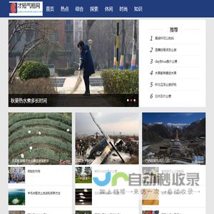 才短气粗网