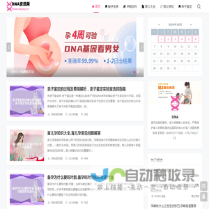 DNA资讯网 - 清宫图表预测