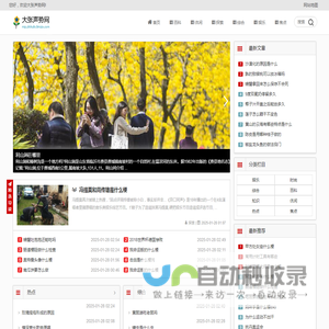 大张声势网