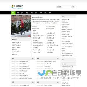 东奔西窜网