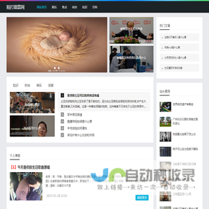 保全首页 tzwangxin.com