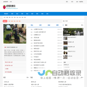 虚情假意网