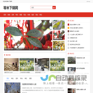 等米下锅网