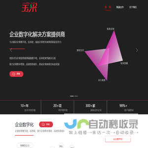 网站截图