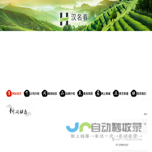 网站截图