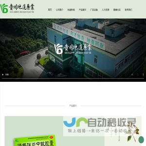 贵州地道药业