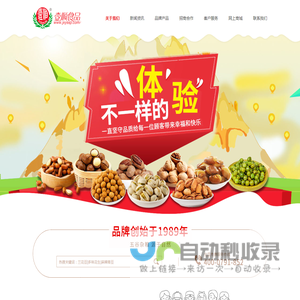 网站截图