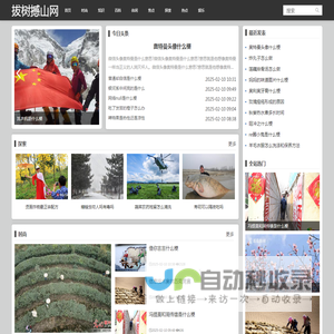 拔树撼山网