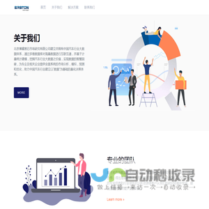 北京博睿黑石市场研究有限公司