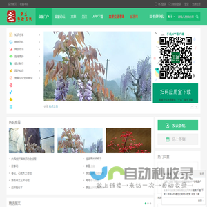 盆景艺术在线_盆景爱好者交易交流造型养护制作设计 -  cnpenjing.com