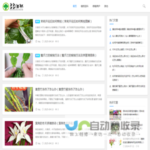 春来苗木网 - 苗木种植与养护知识网站