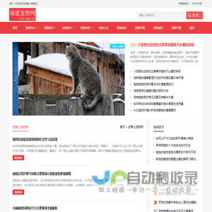 中宠网 - 铜仁宠物网
