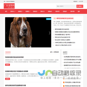 中宠网 - 铜仁宠物网