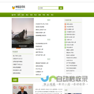 神摇目夺网