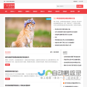 中宠网 - 铜仁宠物网