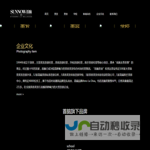深圳市首脑美容美发艺术有限公司