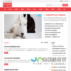 中宠网 - 铜仁宠物网