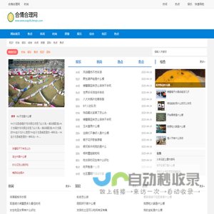 网站截图