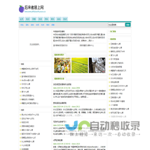 后来者居上网