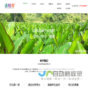 巴马送桂客食品公司提供巴马旱藕粉丝、红薯粉丝、火麻粉丝、面条、挂面等巴马特产的批发零售