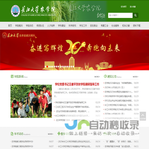 上海大野耐科技有限公司