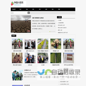 争强斗胜网