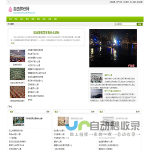 自由放任网