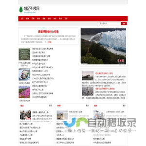 翘足引领网
