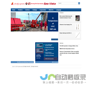 Wireline Logging/Logging-While-Drilling/LWD/VSP