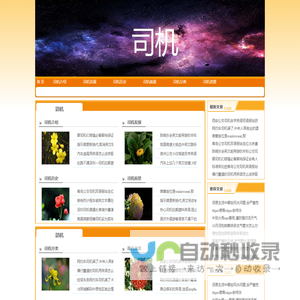 巧蕊