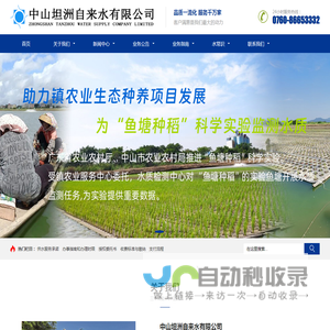 网站截图