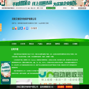 中芯国际 – 公司简介