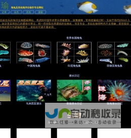 海兔等海洋生物非专业图片网站_海富瑜
