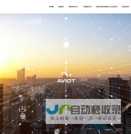 网站截图