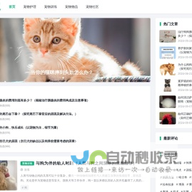 爱宠生活_宠物护理与乐趣的完美融合 - 宠物护理与乐趣的完美融合