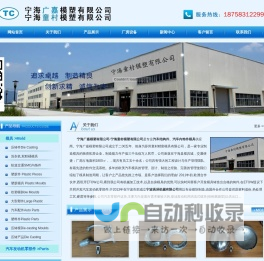 宁海广嘉模塑有限公司/童村模塑- 宁海/宁波模具,精密模具制造厂家