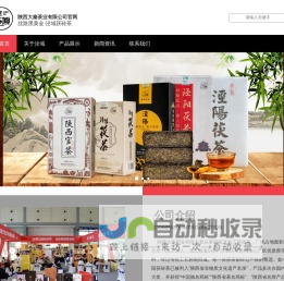 陕西大秦茶业有限公司
